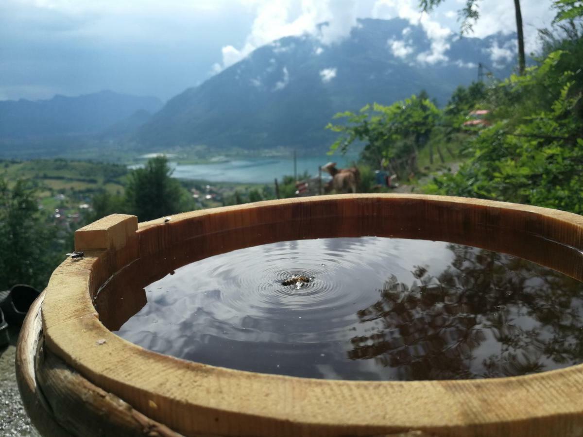 Eco Village Jasavic Плав Екстериор снимка