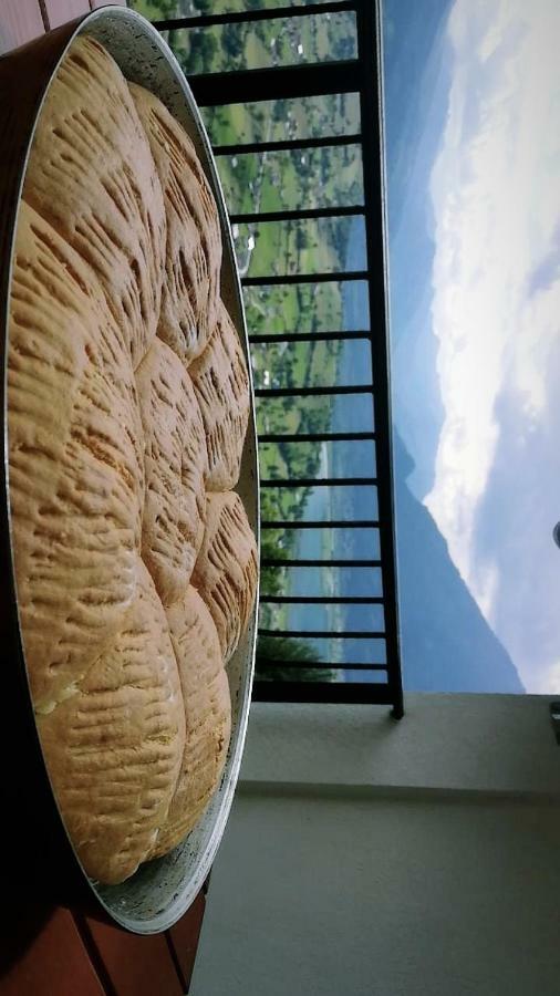 Eco Village Jasavic Плав Екстериор снимка